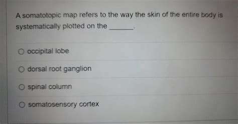 Solved A somatotopic map refers to the way the skin of the | Chegg.com