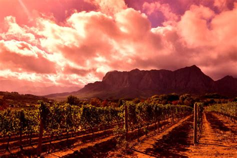 Cape Town Winelands Tours – African Travel Desk