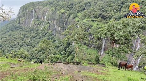 Bhimashankar Trek Amazon Jungle Youtube