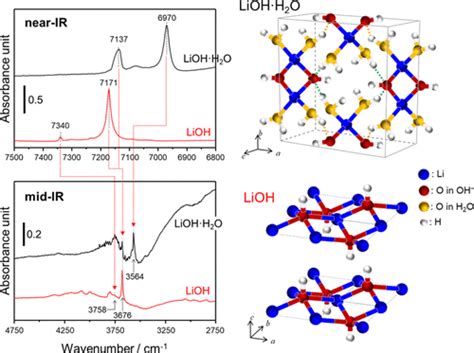 Lioh Licl Acs Omega X Mol