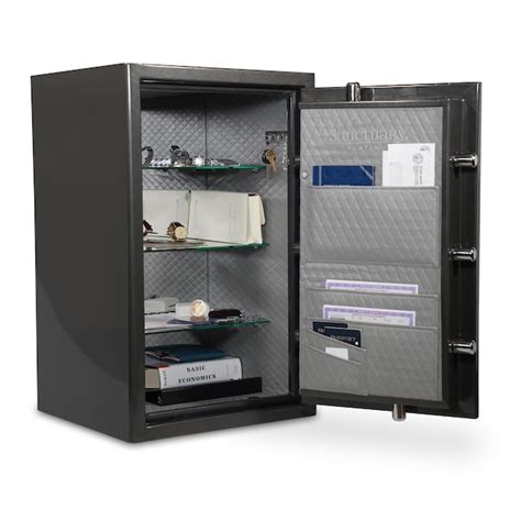 Sanctuary 498 Cu Ft Fireproof And Waterproof Home Safe With Biometric