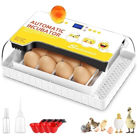 Couveuse Automatique Oeufs Le Top Des Meilleurs De Achat