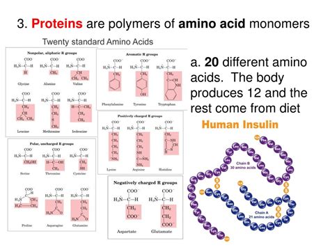 Ppt Unit 1 Structure And Function Biochemistry Chapter 2