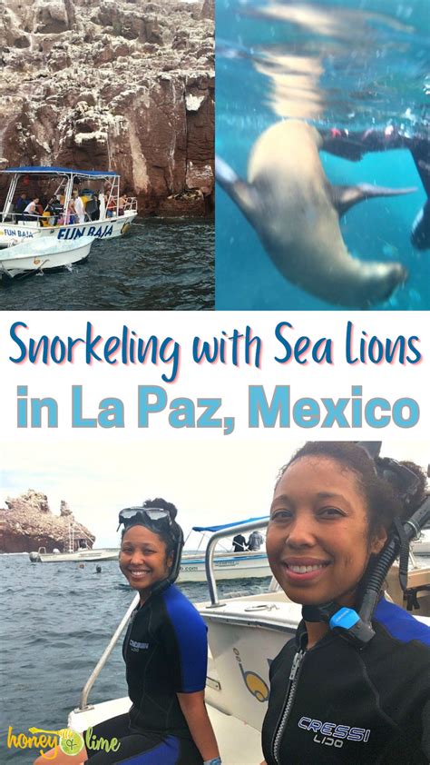 Snorkeling In La Paz, Mexico: Swim With Sea Lions at Isla Espiritu Santo!