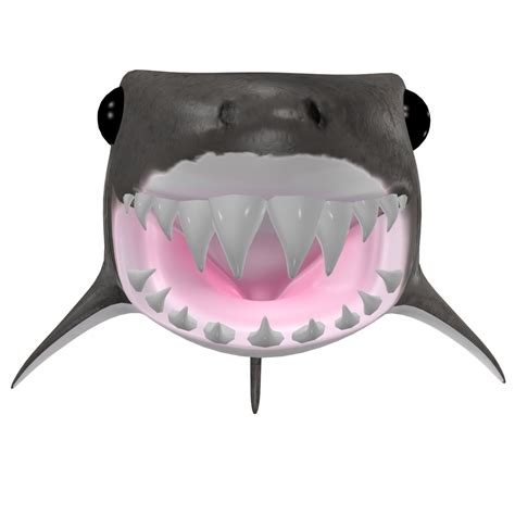 Funny Cartoon Shark Rigged-Animated 3D Model $15 - .max - Free3D