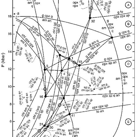 Pt Phase Diagram Constructed From Fig 3 Displaying The Univariant