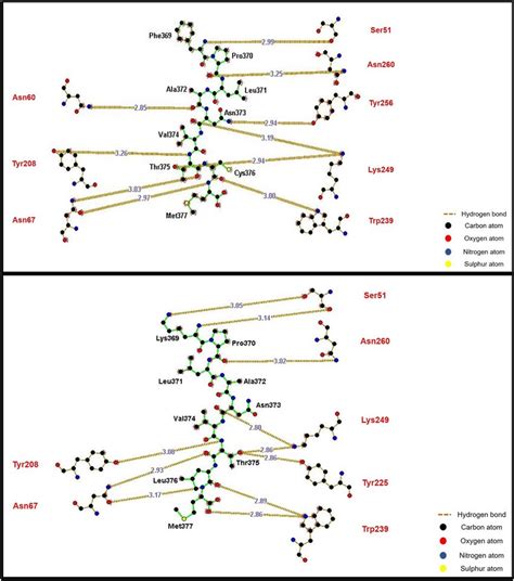 Analysis Of Molecular Interactions Of Viral Peptide Docked Onto