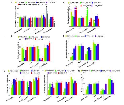 Analysis Of The Relative Expression Levels Of Genes Involved In