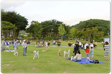 전남 순천시반려동물 문화센터 건립~반려인·비반려인 간의 사회적 갈등 완화 위키트리