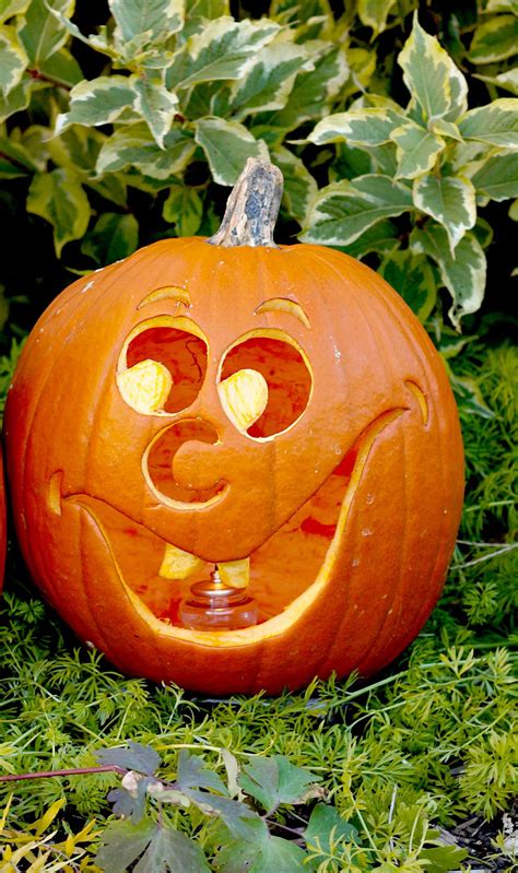 25 Easy Pumpkin Carving Ideas For The Best Jack O Lanterns Artofit