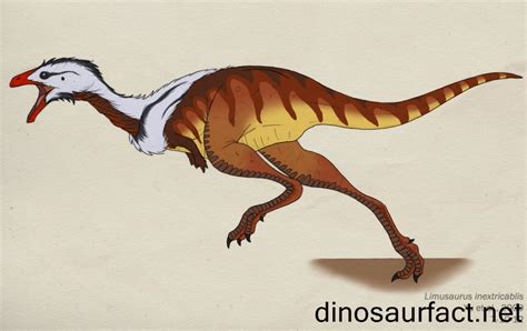 Limusaurus dinosaur