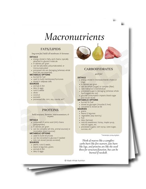 Macro Basics Handout Bundle — Functional Health Research Resources — Made Whole Nutrition