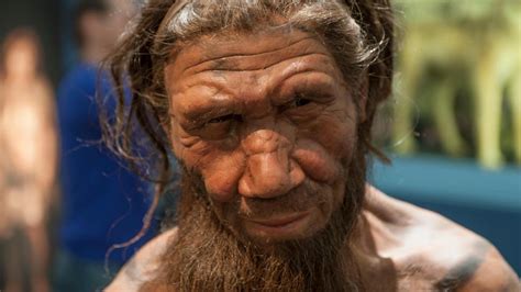 How Did The Last Neanderthals Live BBC Future