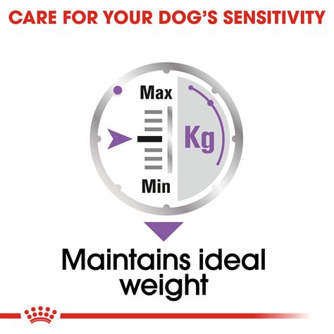 Sterilised | Royal Canin IT