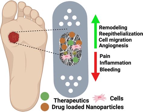 Electrospun Nanofibers For Wound Management John Chemnanomat Wiley Online Library