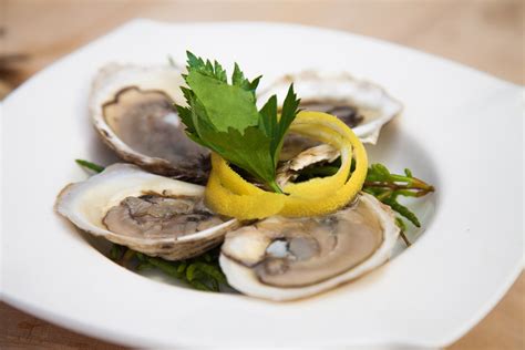 Beau Soleil Oysters: A Delectable Culinary Gem from the Sea | Paraiso ...