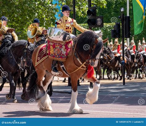 Military Drum Horse Taking Part In The Trooping The Colour Military Ceremony At Horse Guards ...