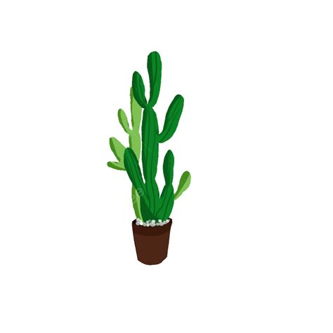 Hand Painted Cactus Png Picture Hand Painted Design Elements Green