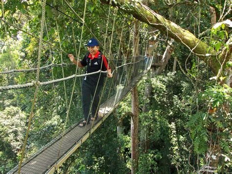 Kinabalu Park World Heritage Site Wildlife Tours Outback Venture