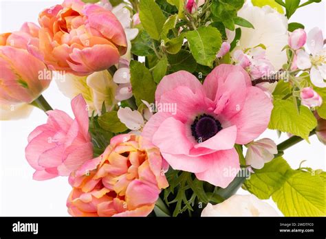 Elegant Mixed Pastel Colored Spring Bouquet On White Background Spring