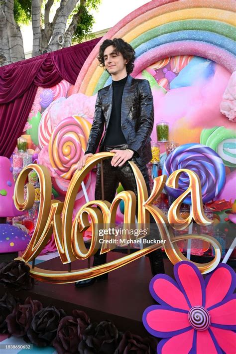 Timoth E Chalamet Today During The Wonka Red Carpet In Los Angeles