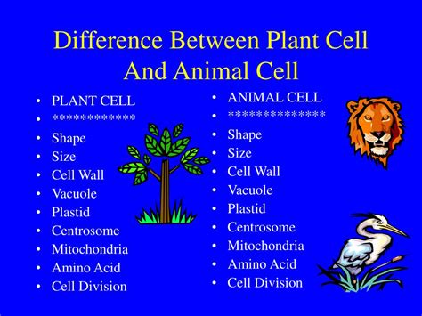 3 Differences Between Plant And Animal Cells - Plant Ideas