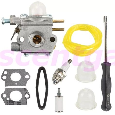 Carburetor Kit For Bolens Bl Bl Bl Ad G Wt