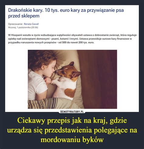 Ciekawy przepis jak na kraj gdzie urządza się przedstawienia