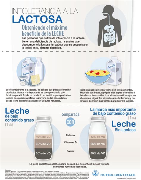 Los Beneficios De La Leche Para Aquellos Con Intolerancia A La Lactosa