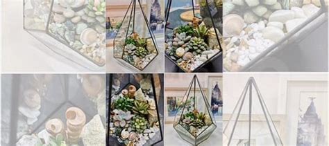 Флорариум капля купить в Челябинске | Товары для дома и дачи | Авито