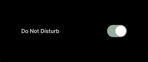 Do Not Disturb