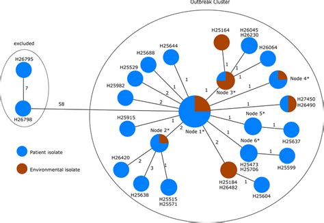 Minimum Spanning Tree Based On The Allelic Profiles Of The Genome Data