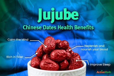 TCM Benefits Of Jujube Fruit Chinese Red Dates Activeherb Blog