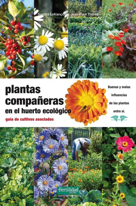 PLANTAS COMPAÑERAS EN EL HUERTO ECOLOGICO GUIA DE CULTIVOS ASOC IADOS