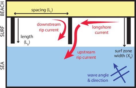 [PDF] Dynamics of rip currents associated with groynes — field ...