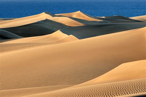 El Cruising Amenaza La Reserva De Las Dunas De Maspalomas