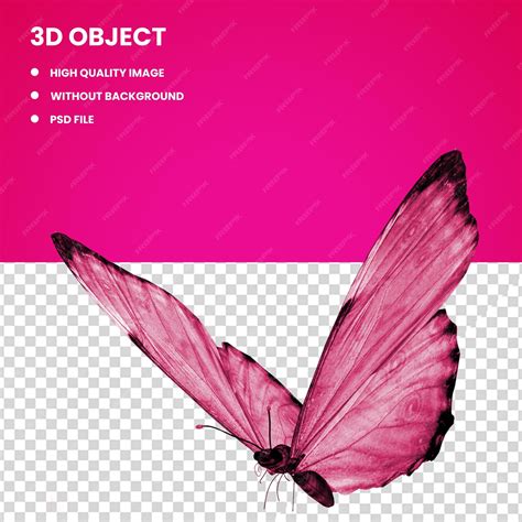 Premium PSD | 3d Pink and black butterfly