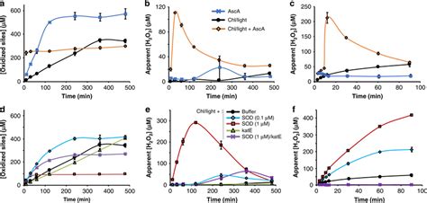 Probing The Role Of Reactive Oxygen Species In The Light Chl LPMO