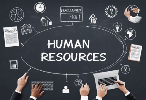 human resources guide definition duties career paths
