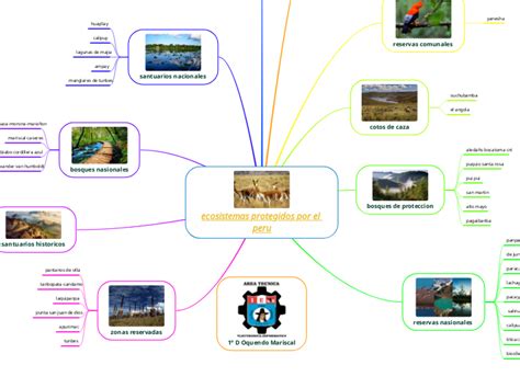 Ecosistemas Protegidos Por El Peru Mind Map