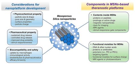 Ijms Free Full Text Mesoporous Silica Nanoparticles As A Potential