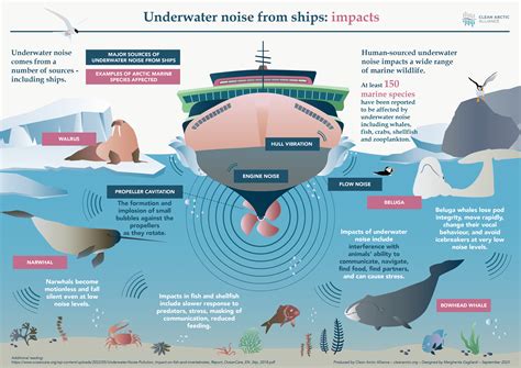 IMO Must Take Opportunity To Reduce Underwater Noise By Transitioning