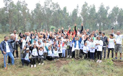 Young Ethiopian diasporas plant tree seedlings in Chaka project – Welcome to Fana Broadcasting ...