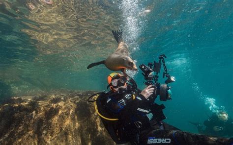 Scuba Diving And Snorkeling In Isla Del Espiritu Santo Book Tours