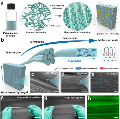 Bioinspired Structural Hydrogels With Highly Ordered Hierarchical