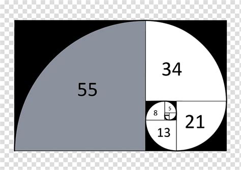 Golden Ratio And Fibonacci Sequence