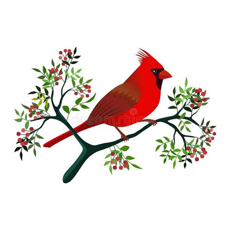 winter cardinal clipart 9 free Cliparts | Download images on Clipground ...