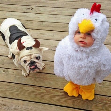 10 Adorable Matching Dog And Kid Halloween Costumes Cute Animals