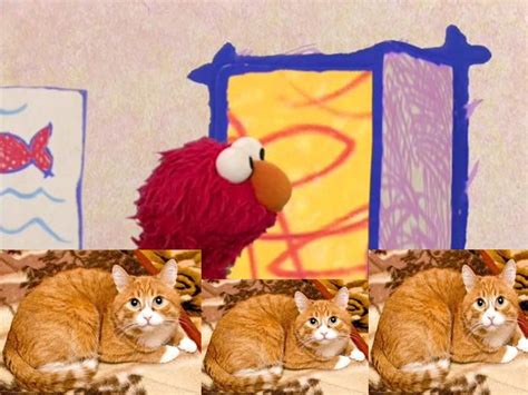 Elmos World Orange Cats Elmos World Fanon Wiki Fandom Powered By Wikia