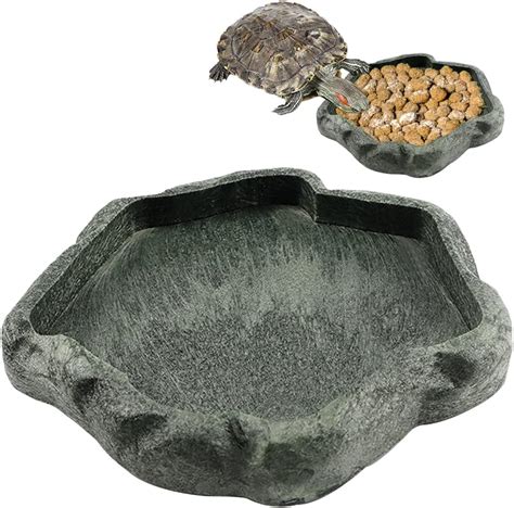 Amazon Slson Reptile Feeder Terraium Bowl Plastic Shallow Reptile